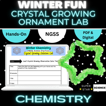 Winter Chemistry Activity Snowflake Crystal Growing Lab Fun Hands On NGSS