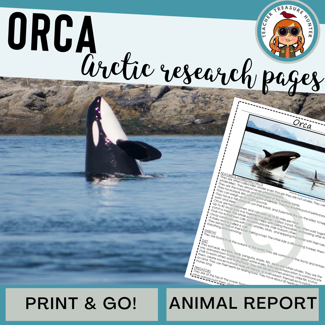 orca research paper dataset construction approaches