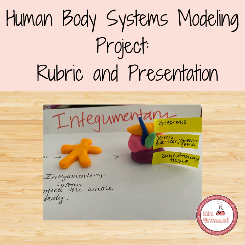 Human Body Systems Rubric | Made By Teachers