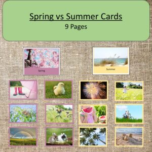 Spring vs Summer Cards Montessori Seasonal Work Seasons Preschool ...