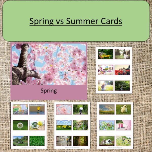 Spring vs Summer Cards Montessori Seasonal Work Seasons Preschool ...