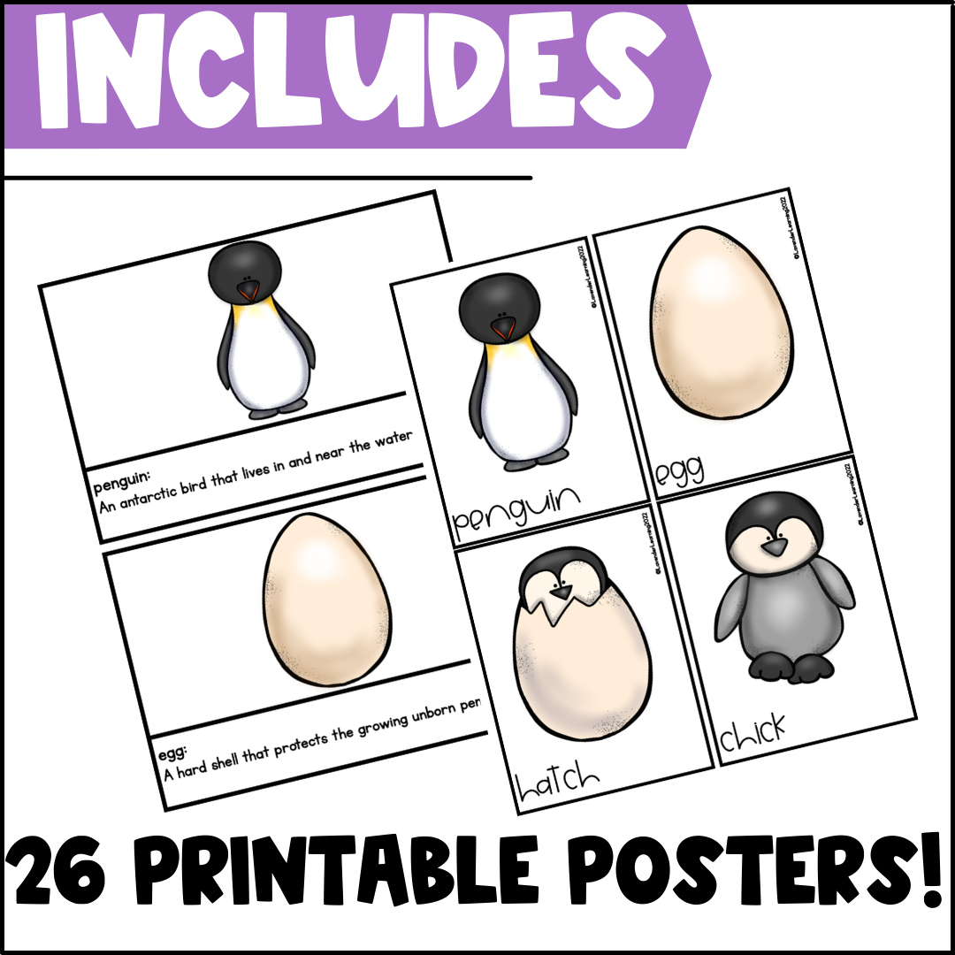 life-cycle-of-a-penguin-activities-worksheets-booklet-penguin-life