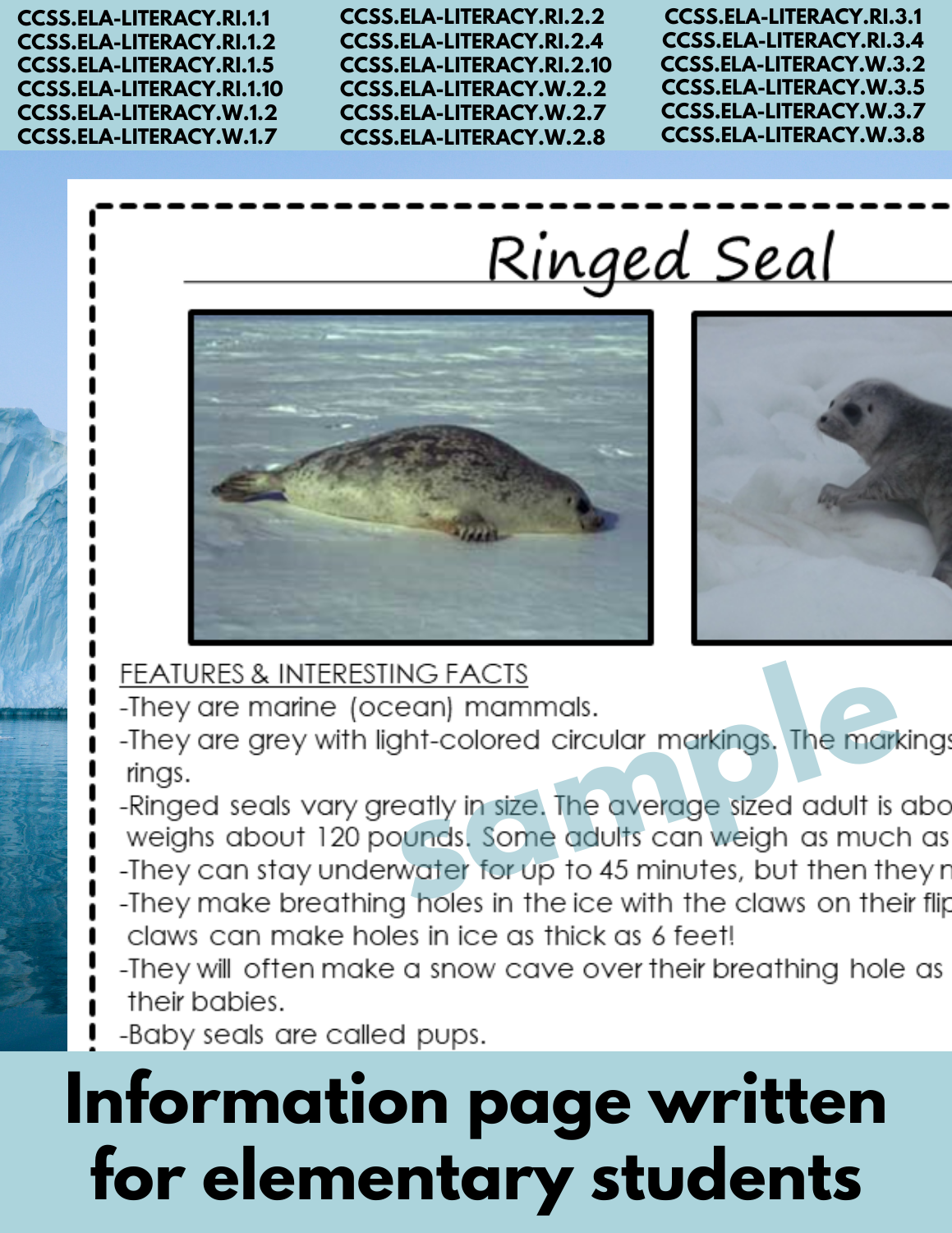 Ringed Seal Arctic Animal Research Page for learning about Arctic