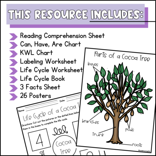 Life Cycle of a Cocoa Tree Activities, Worksheets Cacao Tree Life