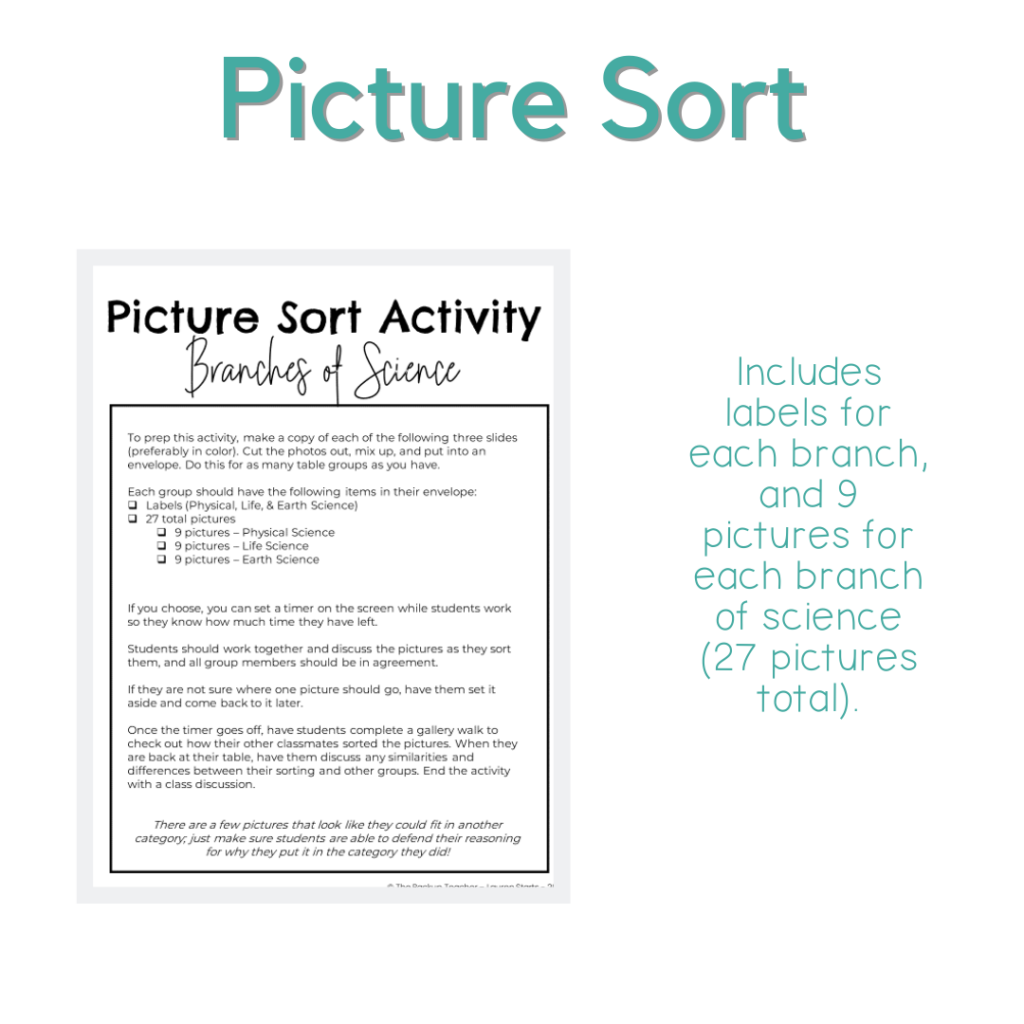 Branches in Science Lesson Plan - Made By Teachers