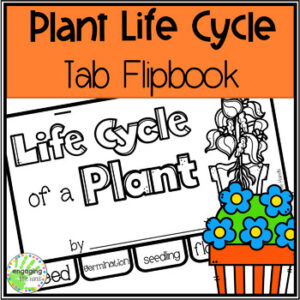 Life Cycle of a Plant Tab Flip book