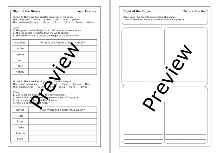 Magic Tree House "Night of the Ninjas" worksheets | Made By Teachers