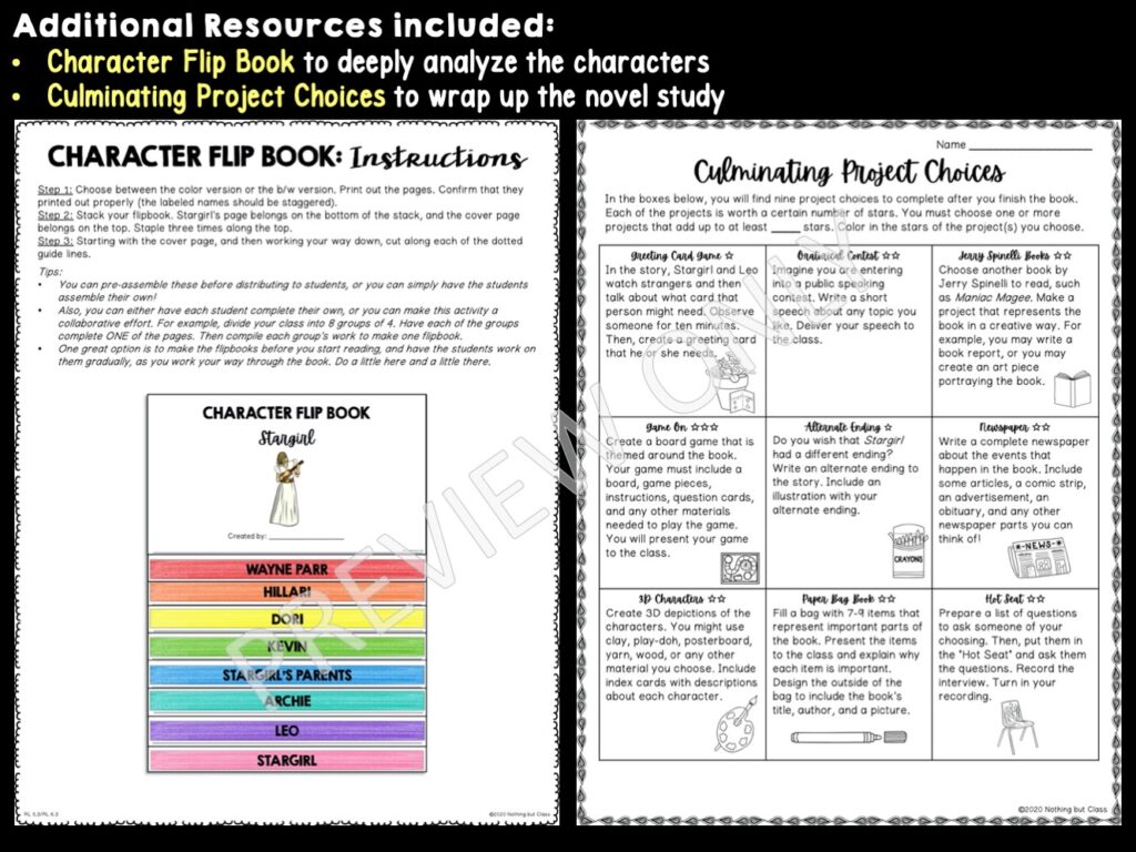 Stargirl Novel Study Unit Comprehension and Vocabulary with