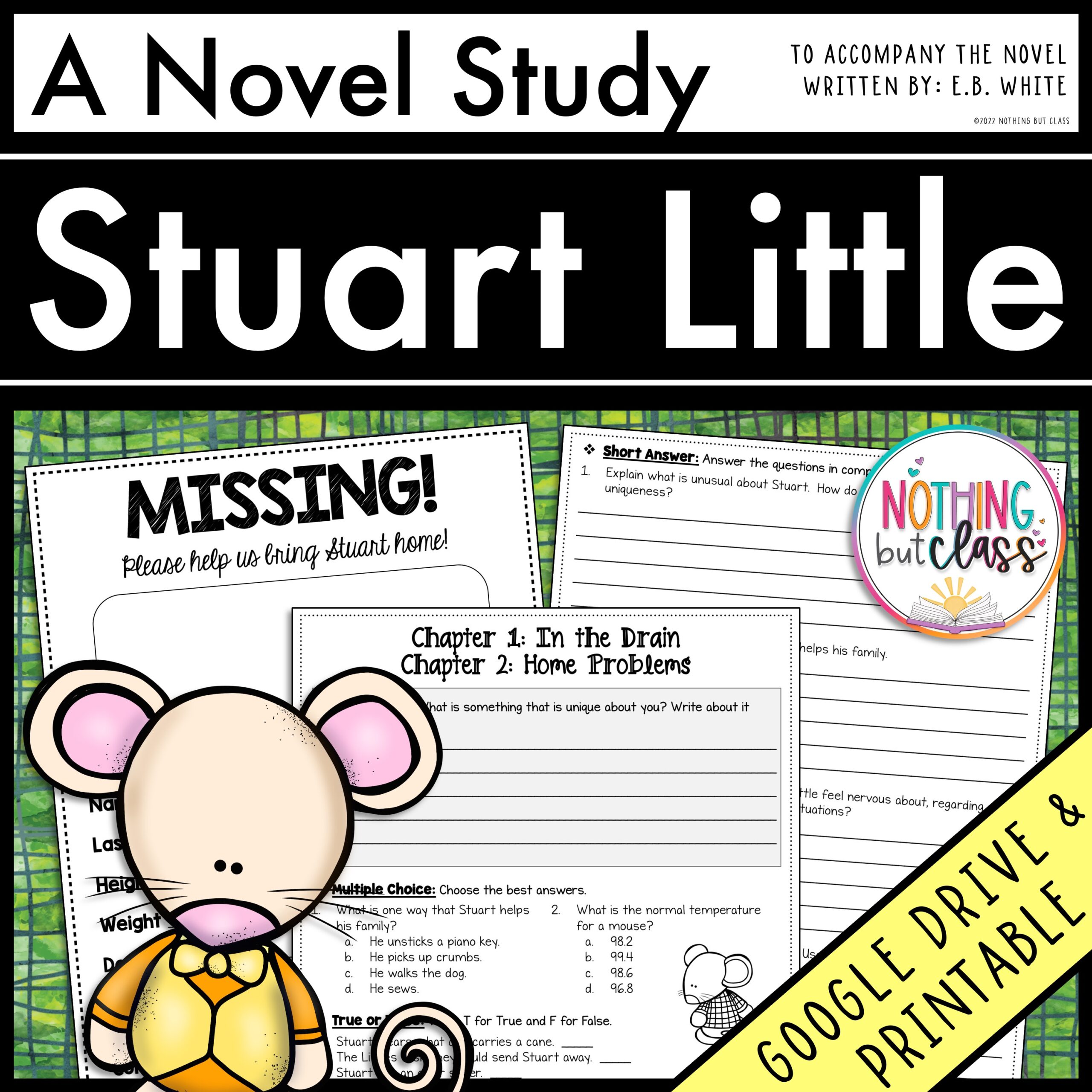 Stuart Little Novel Study Unit | Comprehension and Vocabulary with Activities and Tests