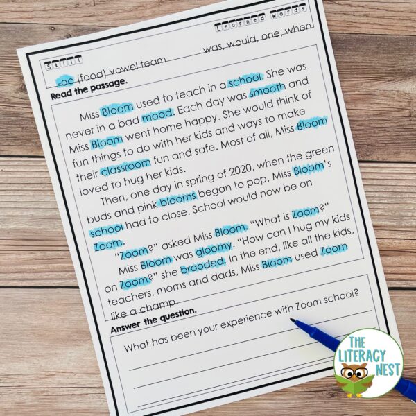 Vowel Teams and Vowel Diphthongs Decodable Reading Passages - Made By ...