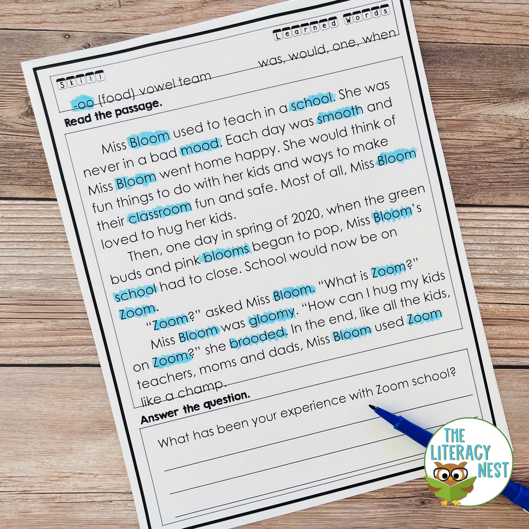 Vowel Teams and Vowel Diphthongs Decodable Reading Passages - Made By ...