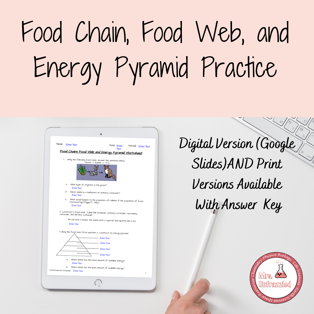 Distance Learning Food Chain Food Energy Pyramid Practice