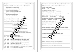 Magic Tree House "Ghost Town at Sundown" worksheets | Made By Teachers