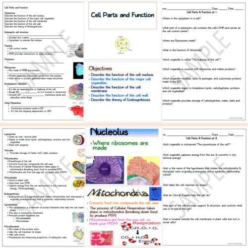 Cellular Structure and Function NO PREP Unit Bundle | Made By Teachers