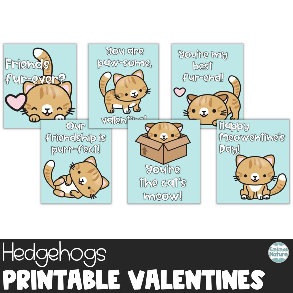 Cat Printable Valentine’s Day Cards for Students | Made By Teachers