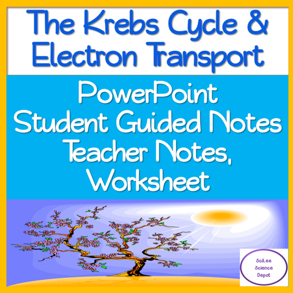 Cellular Respiration- Krebs Cycle & Electron Transport Chain lesson ...