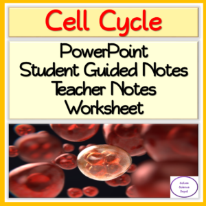 Cell Division: Cell Cycle PowerPoint & Worksheet