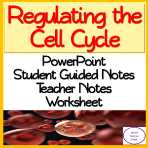 Cell Division: Regulating the Cell Cycle PowerPoint & Worksheet