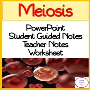 Cell Division: Meiosis PowerPoint & Worksheet