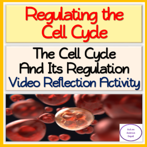 Cell Division: Cell Cycle and its Regulation Video Reflection Activity