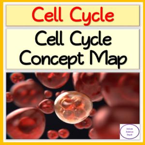 Cell Division: Cell Cycle Concept Map