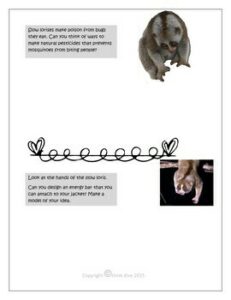 Rainforest | Biomimicry Design Inspired by Nature Compatible with NGSS ...