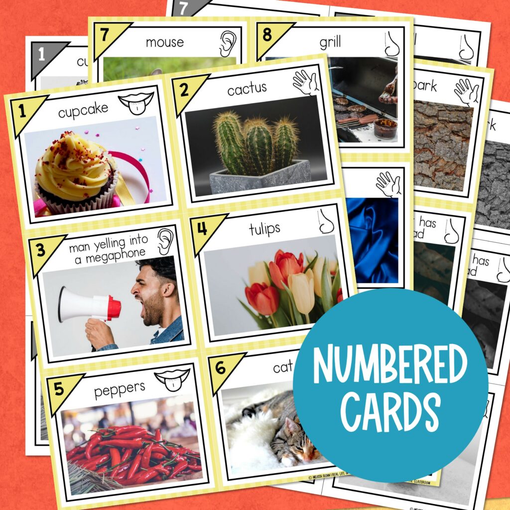 Adjectives for Taste, Sound, Feel, and Smell Grammar Practice Write