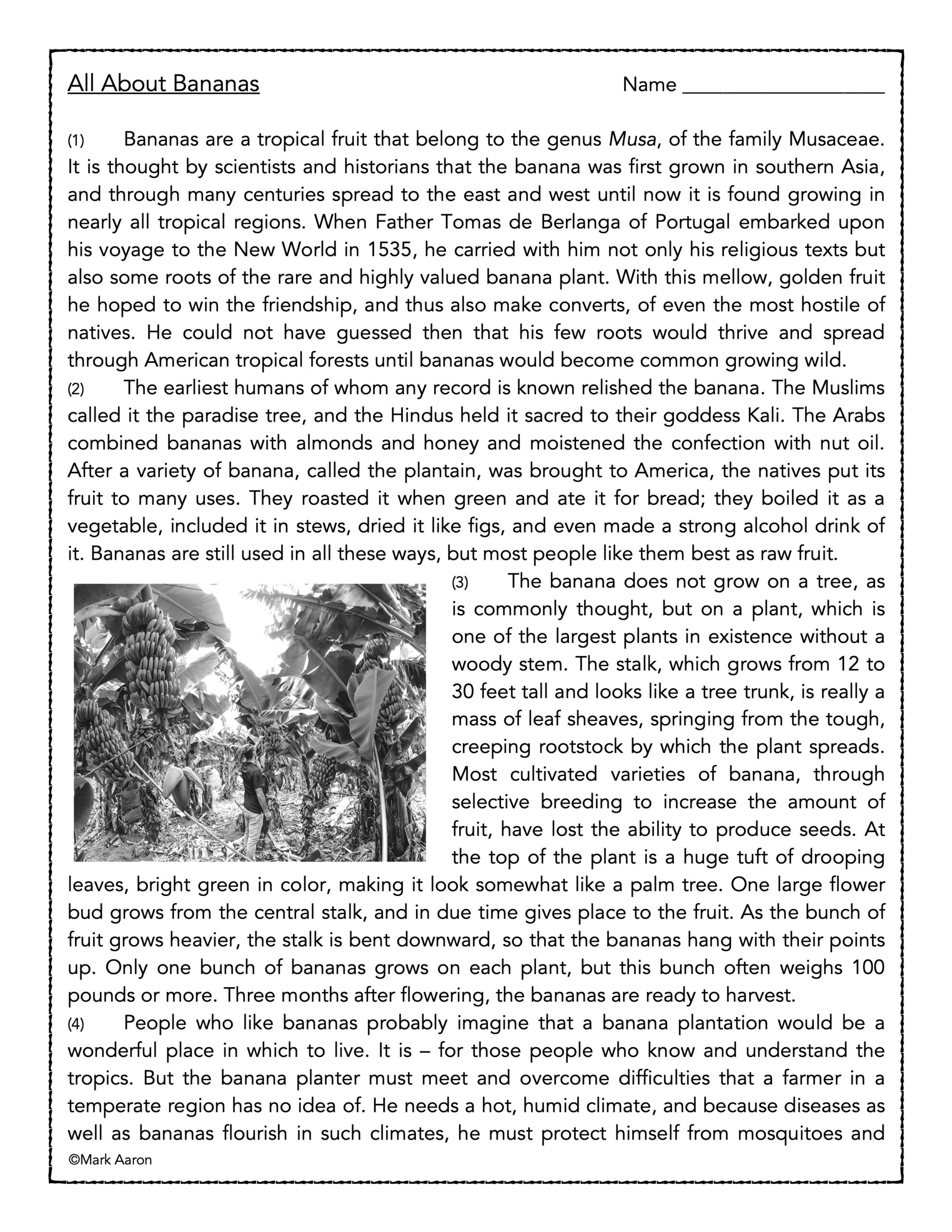 All About Bananas Reading Comprehension Passage and Assessment Made