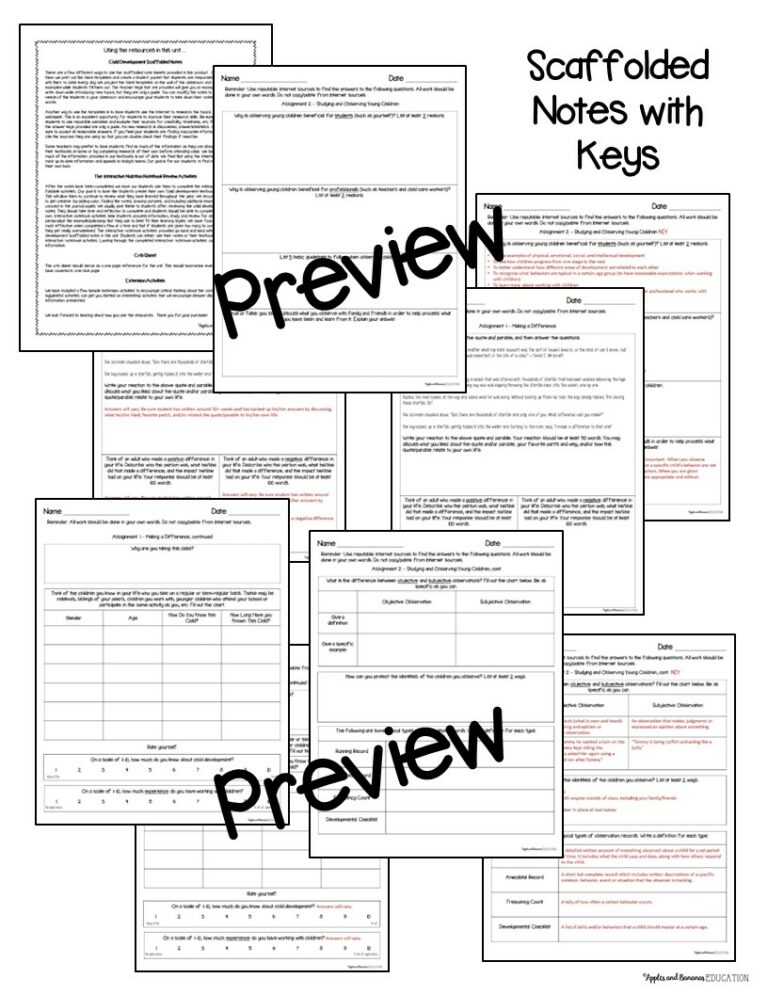 Child Development Basics Interactive Note Taking Activities Made By