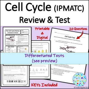 Cell Cycle Interphase and Mitosis Review and Test Modified and Digital too