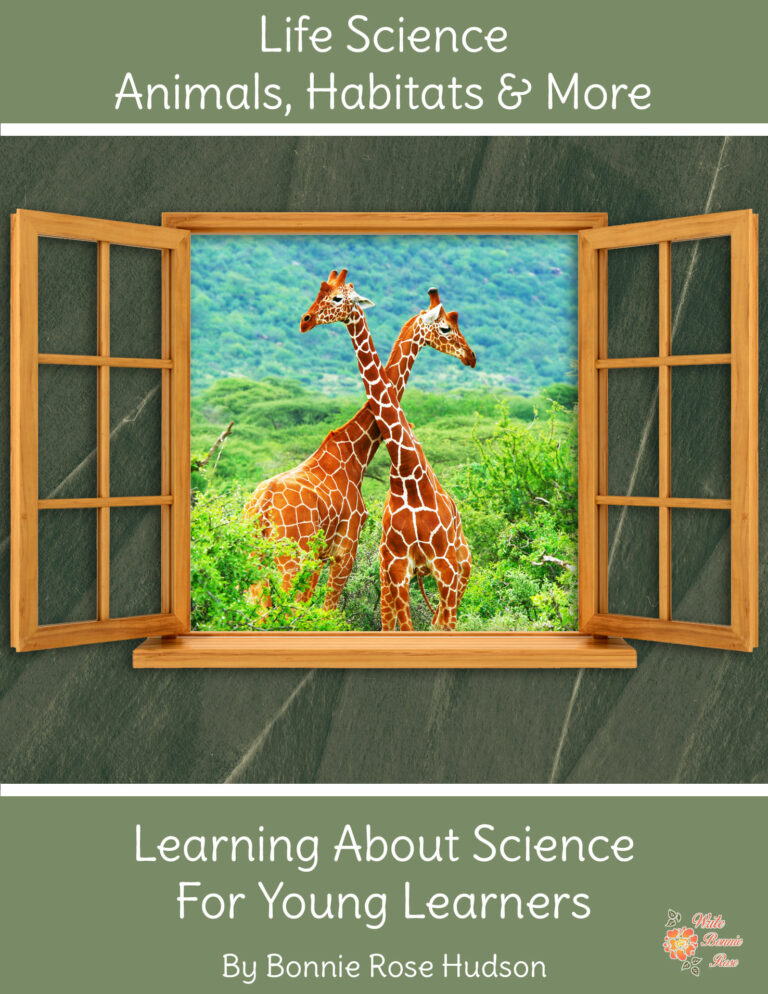 Learning About Science for Young Learners Animals Made By Teachers