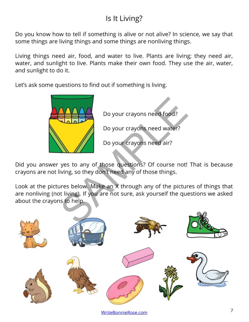 Learning About Science for Young Learners Animals Made By Teachers