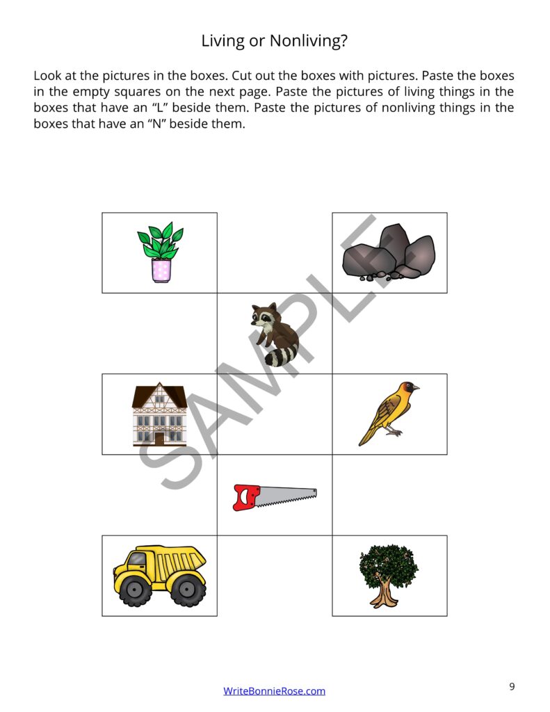 Learning About Science for Young Learners Animals Made By Teachers