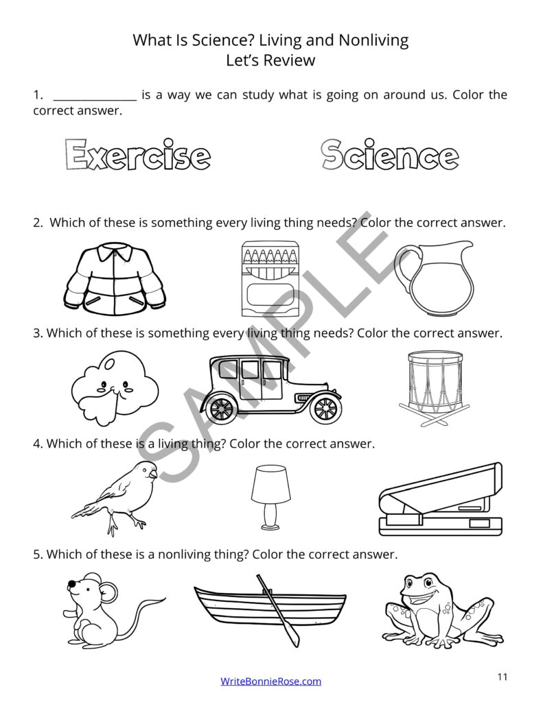 Learning About Science for Young Learners Animals Made By Teachers