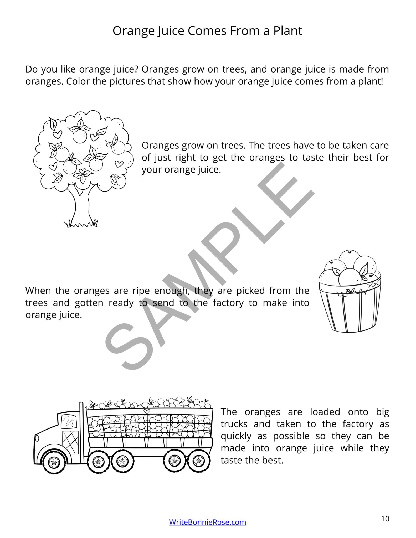 Learning About Science for Young Learners Plants Made By Teachers