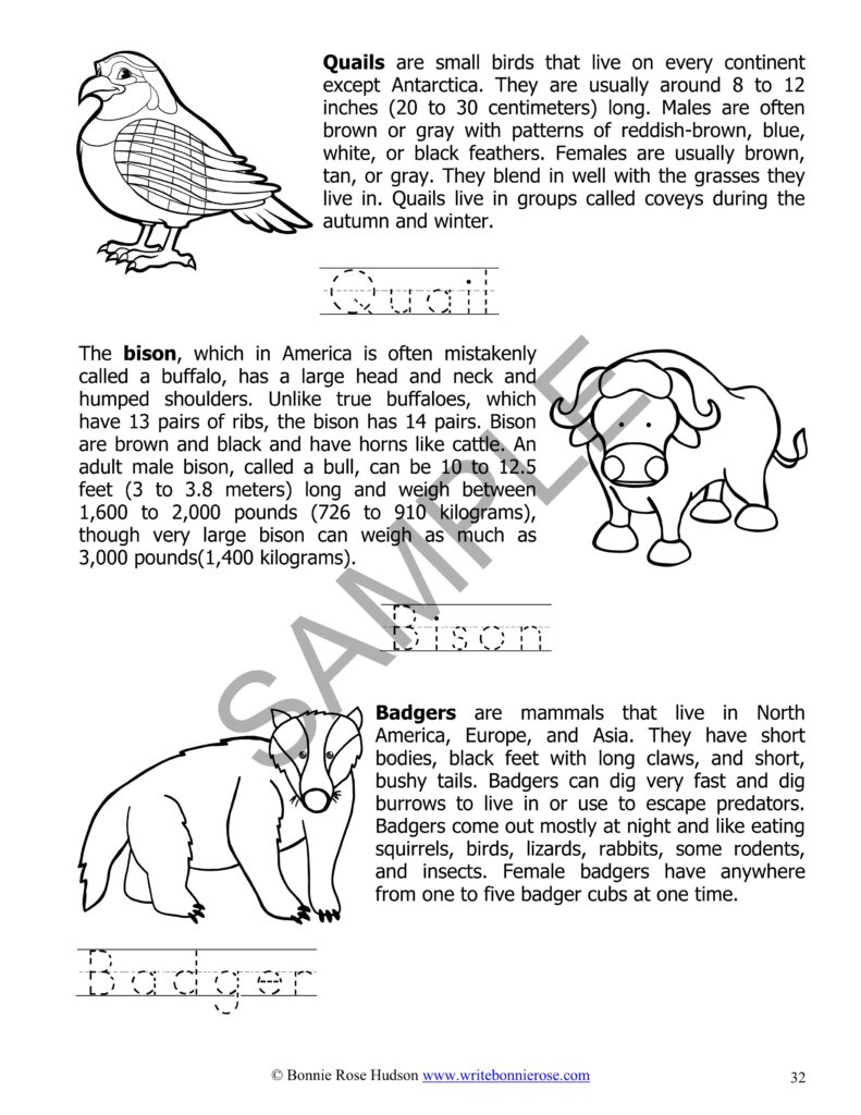 Animal Habitats of the WorldLearning About Science, Level 1 Made By