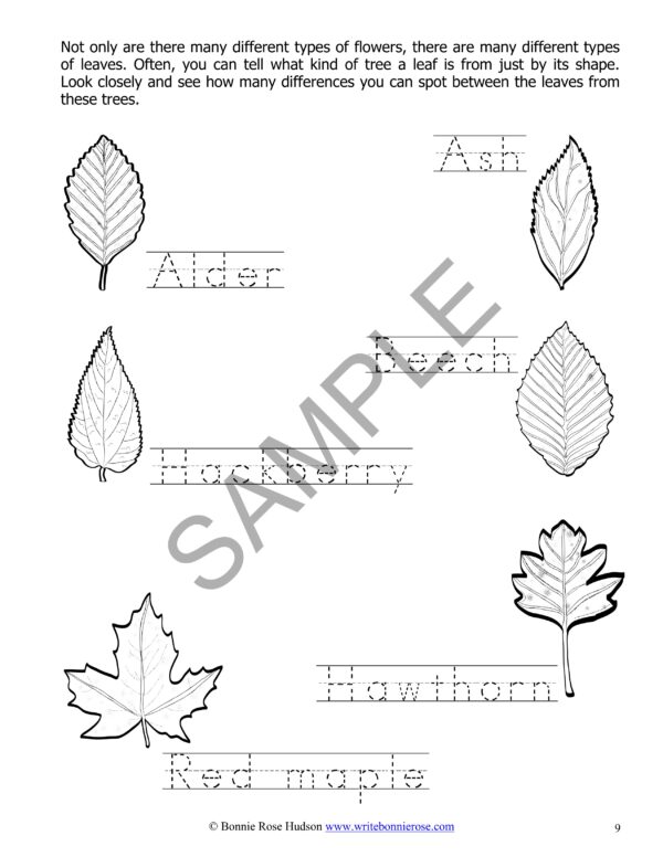 Plants How They Grow & How They Help UsLearning About Science, Level