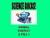Complete Online Distance Learning Animal Energy 5.PS3.1, 5-PS3-1
