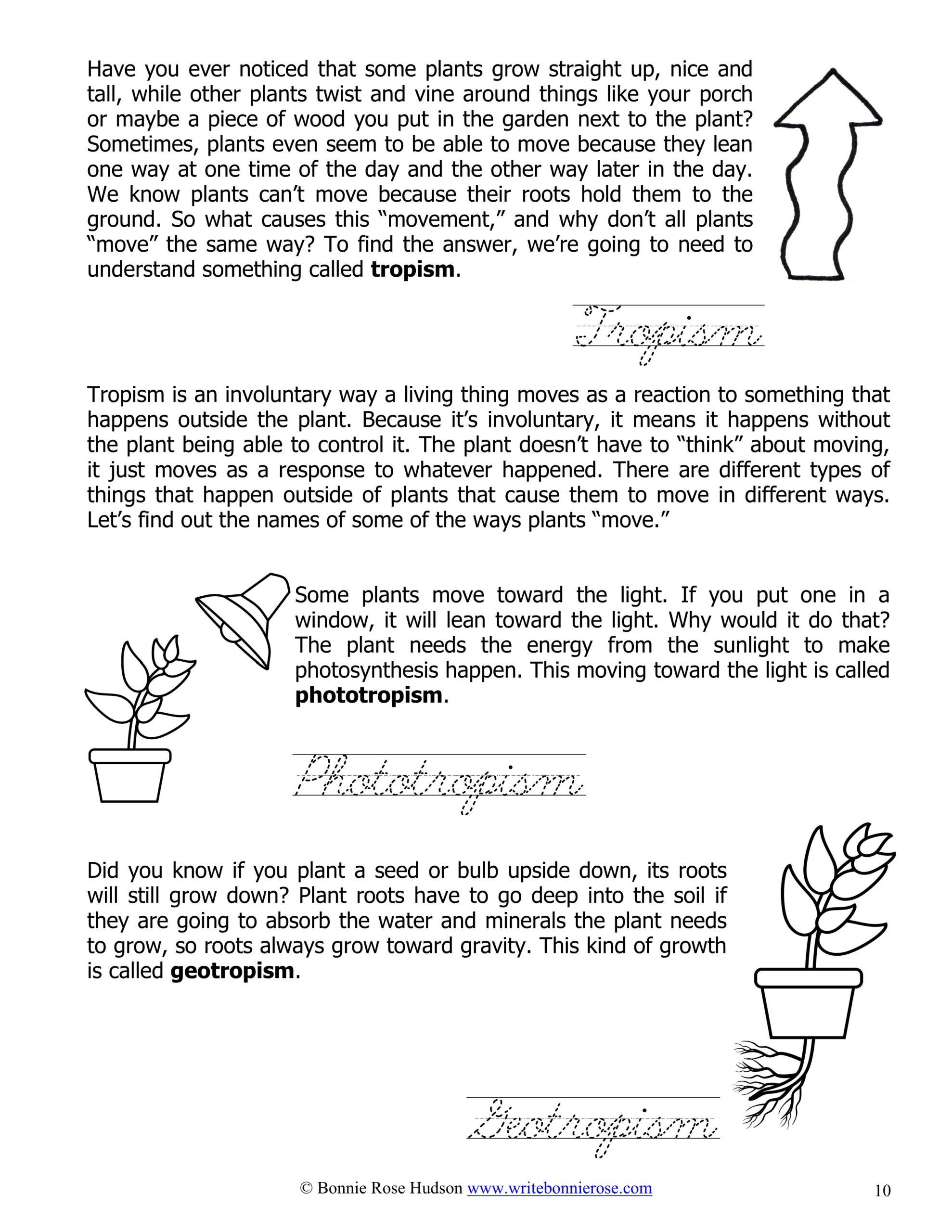 What's Going on Inside Plants?Learning About Science, Level 3 Cursive