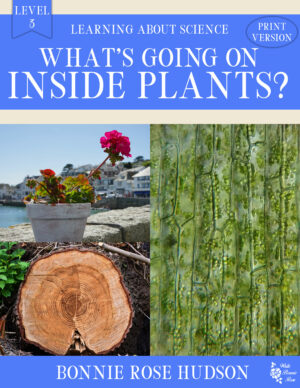 What's Going on Inside Plants?-Learning About Science, Level 3 Print Version