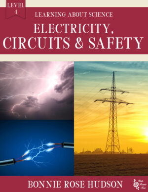 Electricity, Circuits & Safety-Learning About Science, Level 4