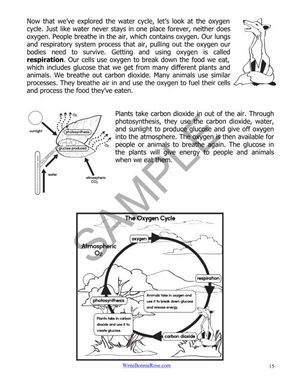 Earth's Cycles and SystemsLearning About Science, Level 5 Made By