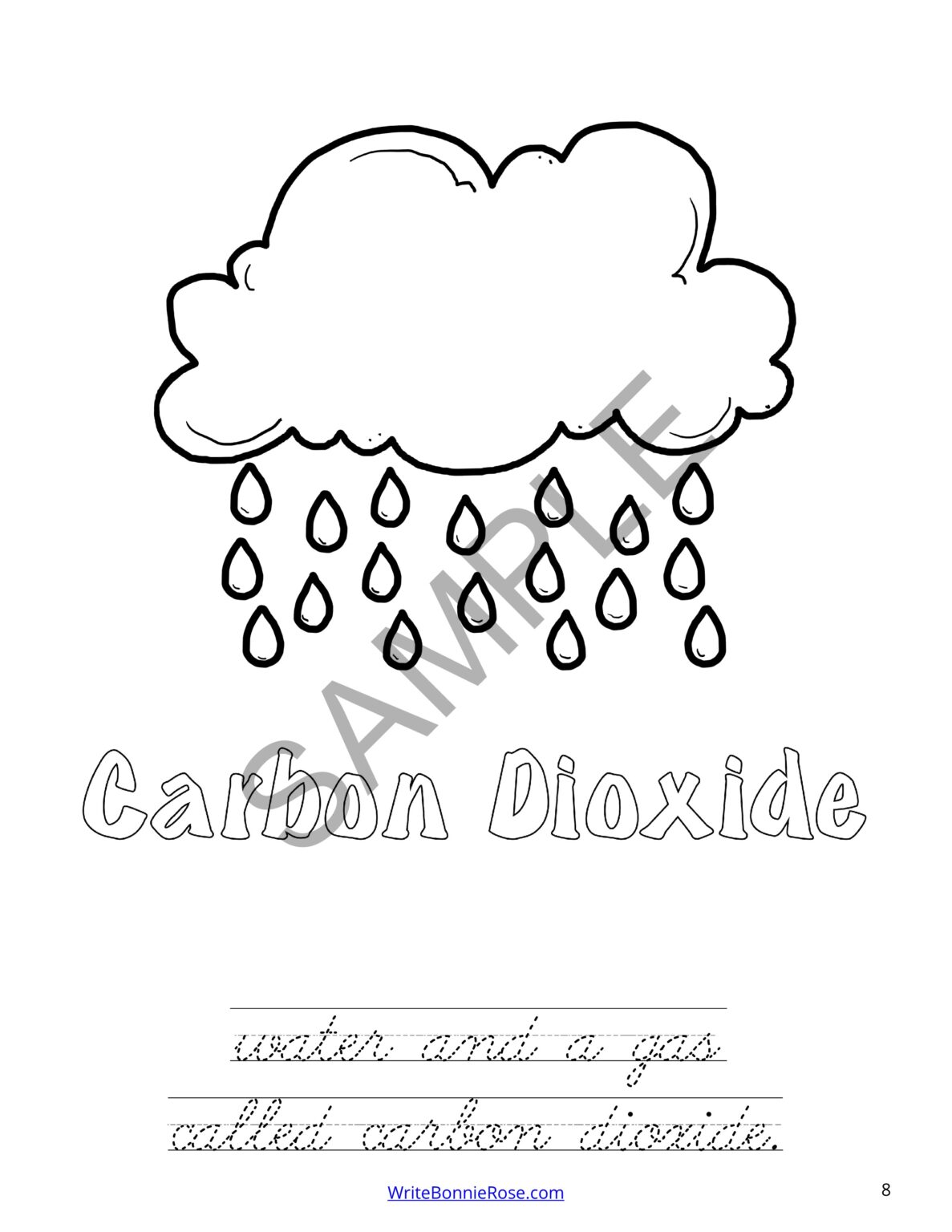 Learning About Photosynthesis Coloring BookLevel C Made By Teachers