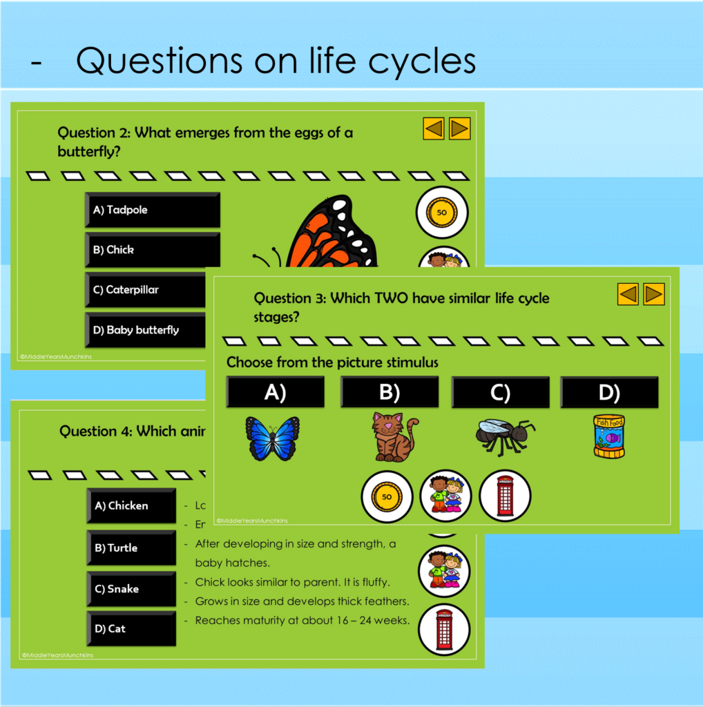 Life Cycles Quiz PowerPoint Made By Teachers