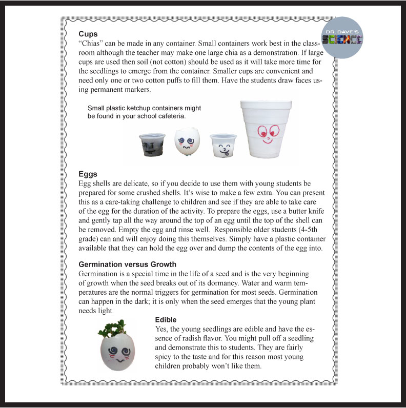 Seed Plant Activity Experiment Germination of Seeds Chia Made By Teachers