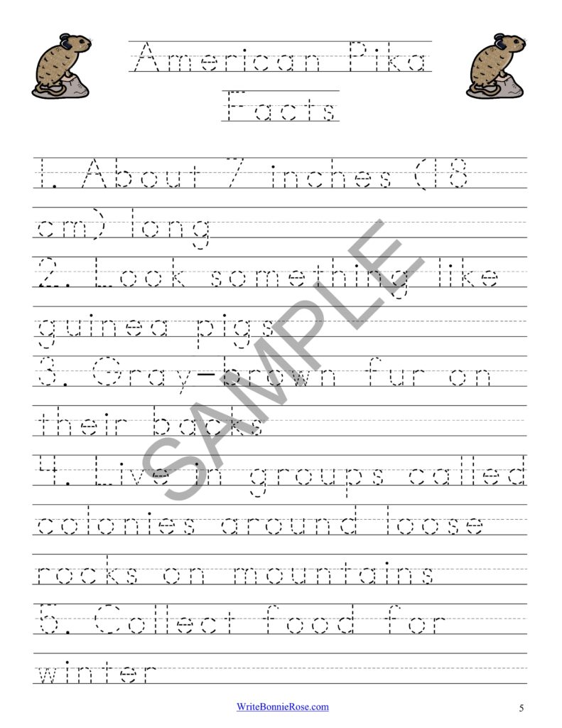 Mountain Animals Facts Color &amp; Copy | Made By Teachers