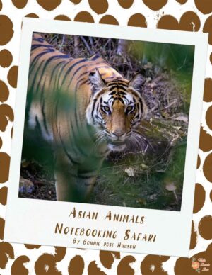 Asian Animals Notebooking Safari | Made By Teachers