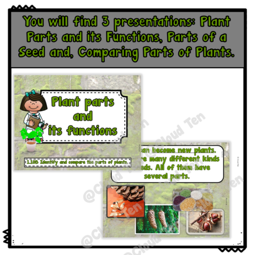 Comparing Parts of Plants in Google Slides™ | Made By Teachers