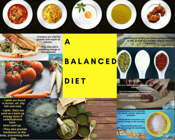 Complete Lesson on A Balanced Diet (The 7 Nutrient Groups) | Secondary ...