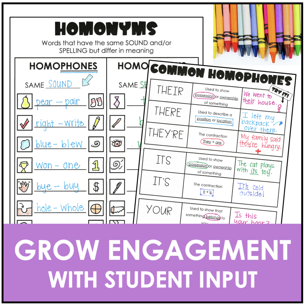 Homophones and Homonyms Chart and Grammar Notes Made By Teachers